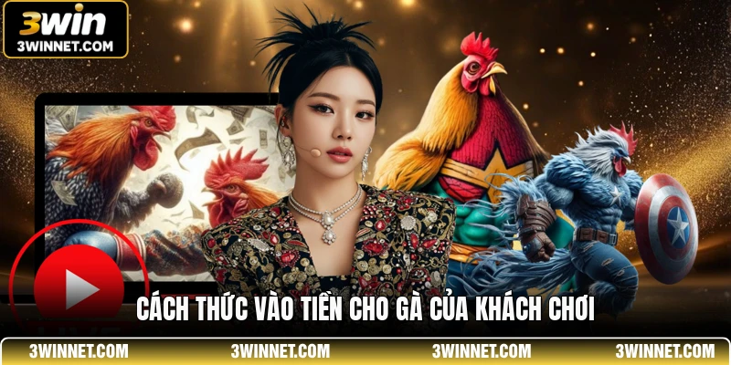 Luật Chơi Đá Gà SV388 - Tổng Hợp Các Quy Định Cơ Bản 2 Cách thức vào tiền cho gà của khách chơi