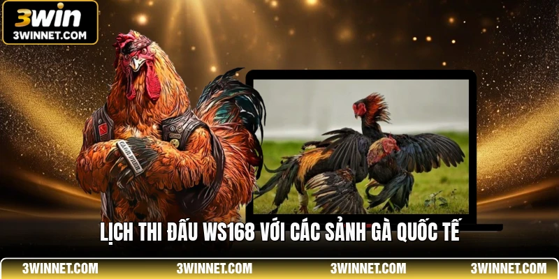 Lịch Thi Đấu WS168 - Theo Dõi Các Trận Gà Hấp Dẫn Nhất 1 Lịch thi đấu WS168 với các sảnh gà quốc tế