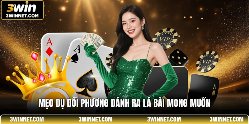 Phỏm 3WIN - Những Ván Bài Đấu Trí Sát Phạt Đỉnh Cao 3 Mẹo dụ đối phương đánh ra lá bài mong muốn