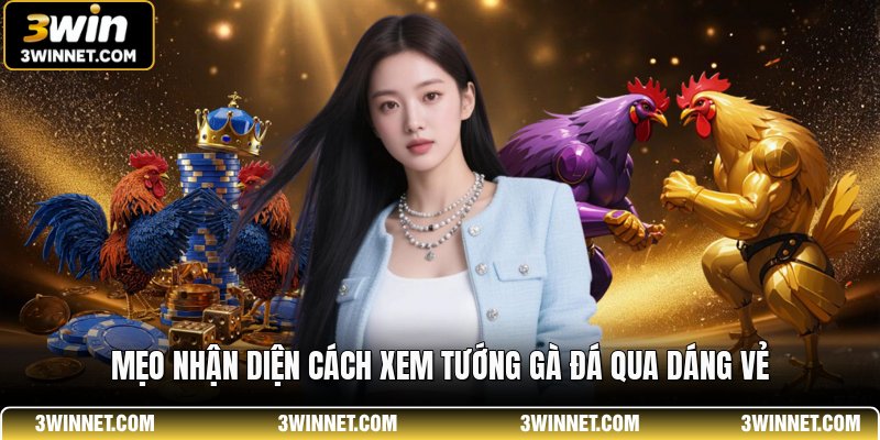 Cách Xem Tướng Gà Đá - Bí Quyết Chọn Chiến Kê Đỉnh Cao 1 Mẹo nhận diện cách xem tướng gà đá qua dáng vẻ