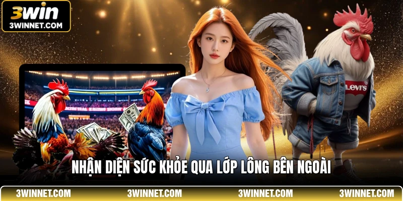 Luật Chơi Đá Gà SV388 - Tổng Hợp Các Quy Định Cơ Bản 3 Nhận diện sức khỏe qua lớp lông bên ngoài