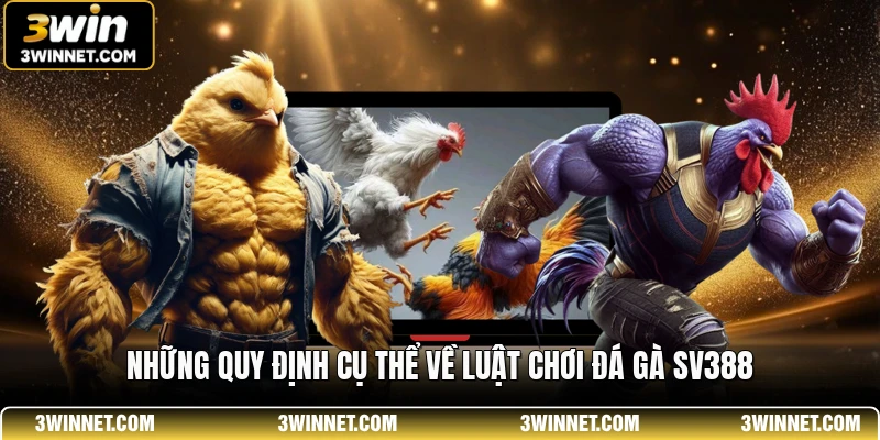 Luật Chơi Đá Gà SV388 - Tổng Hợp Các Quy Định Cơ Bản 1 Những quy định cụ thể về luật chơi đá gà SV388