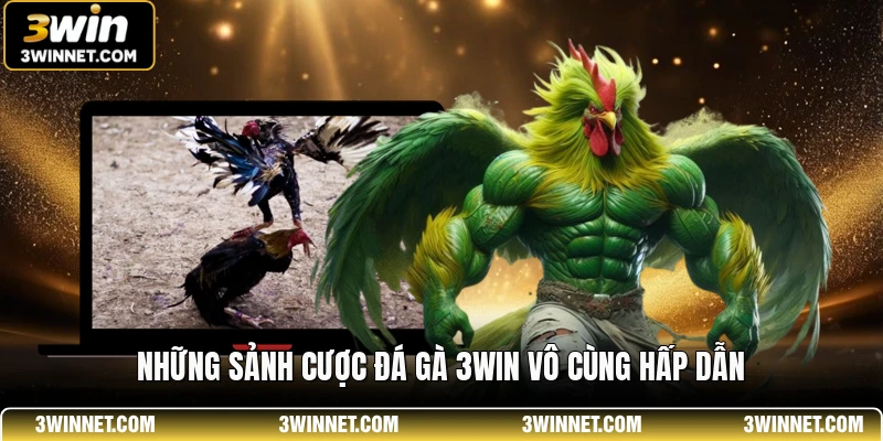 Những sảnh cược đá gà 3WIN vô cùng hấp dẫn