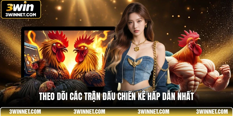 Theo dõi các trận đấu chiến kê hấp dẫn nhất