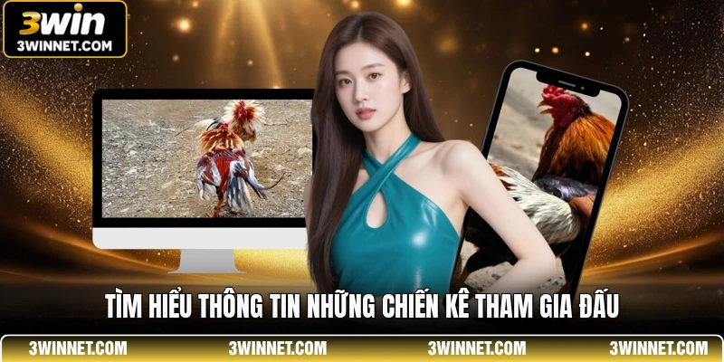 Lịch Thi Đấu WS168 - Theo Dõi Các Trận Gà Hấp Dẫn Nhất 3 Tìm hiểu thông tin những chiến kê tham gia đấu