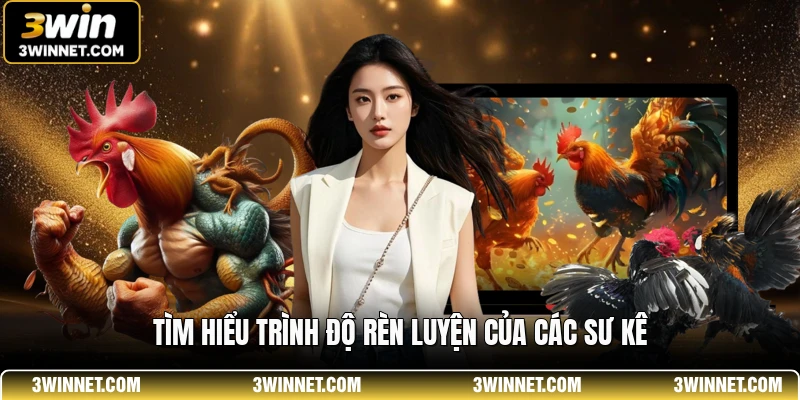 Soi Kèo Đá Gà 3WIN - Bí Quyết Dự Đoán Kết Quả Luôn Thắng 2 Tìm hiểu trình độ rèn luyện của các sư kê